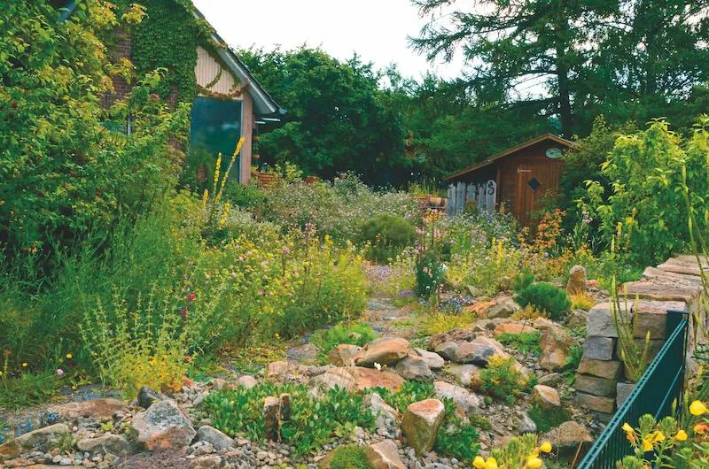 Voller Farben, Blumenduft, singenden Vögeln, summenden Bienen und zirpenden Grillen macht der Aufenthalt im eigenen Garten viel mehr Freude. Hier finden Vögel auch Nahrung und Nistmöglichkeiten, die sie in einem monotonen Garten nicht finden. (Bild zVg/ Reinhard Witt)