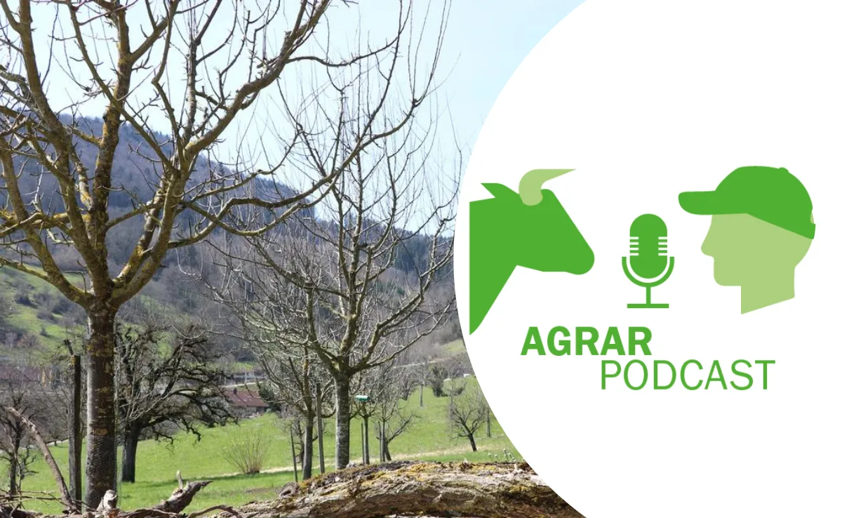 agrarpodcast-12 «AgrarPodcast» Episode 12: Der Baummord in den 1960er-Jahren und die EU-Agrarpolitik