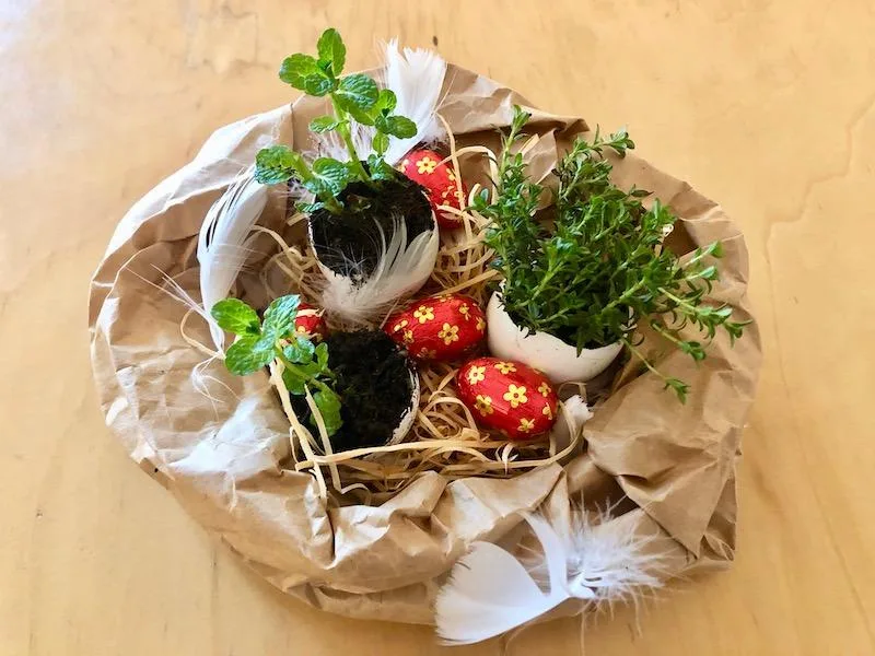 b4f0d4d9e62a12607e01a3e43e198f970c4264ad Für die Tischmitte ein Osternest gestallten und mit den bepflanzten Eierschalen füllen. (Bilder Esther Thalmann)