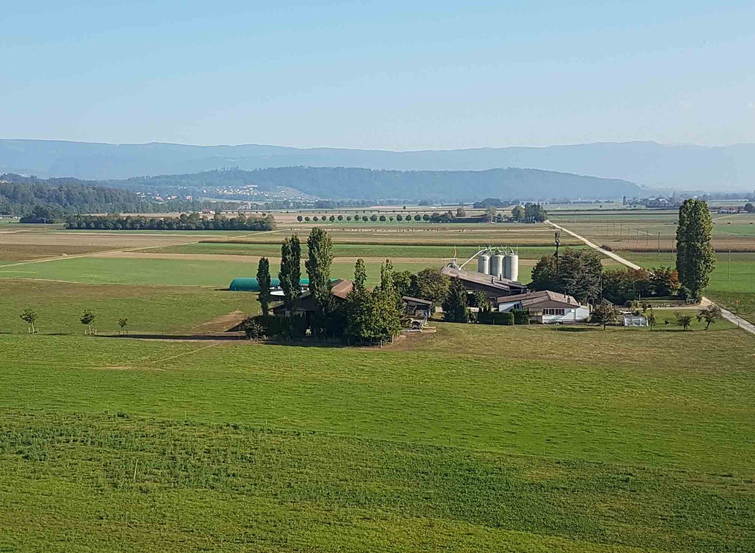 Für den SBV seien insbesondere die vom Bund vorgeschlagenen Strafbestimmungen, die Speziallandwirtschaftszonen für die Tierhaltung, die Beseitigungspflicht mit Grundpfand und der Planungs- und Kompensationsansatz inakzeptabel. (Bild
