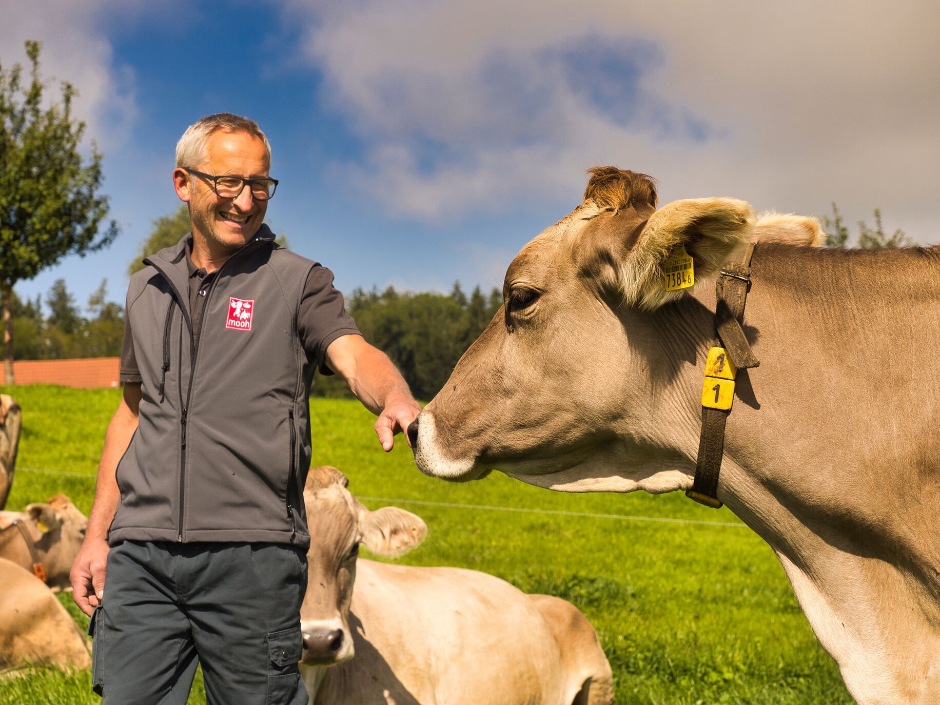 Methan senken via Mineralfutter: Mooh lanciert Klimaprogramm