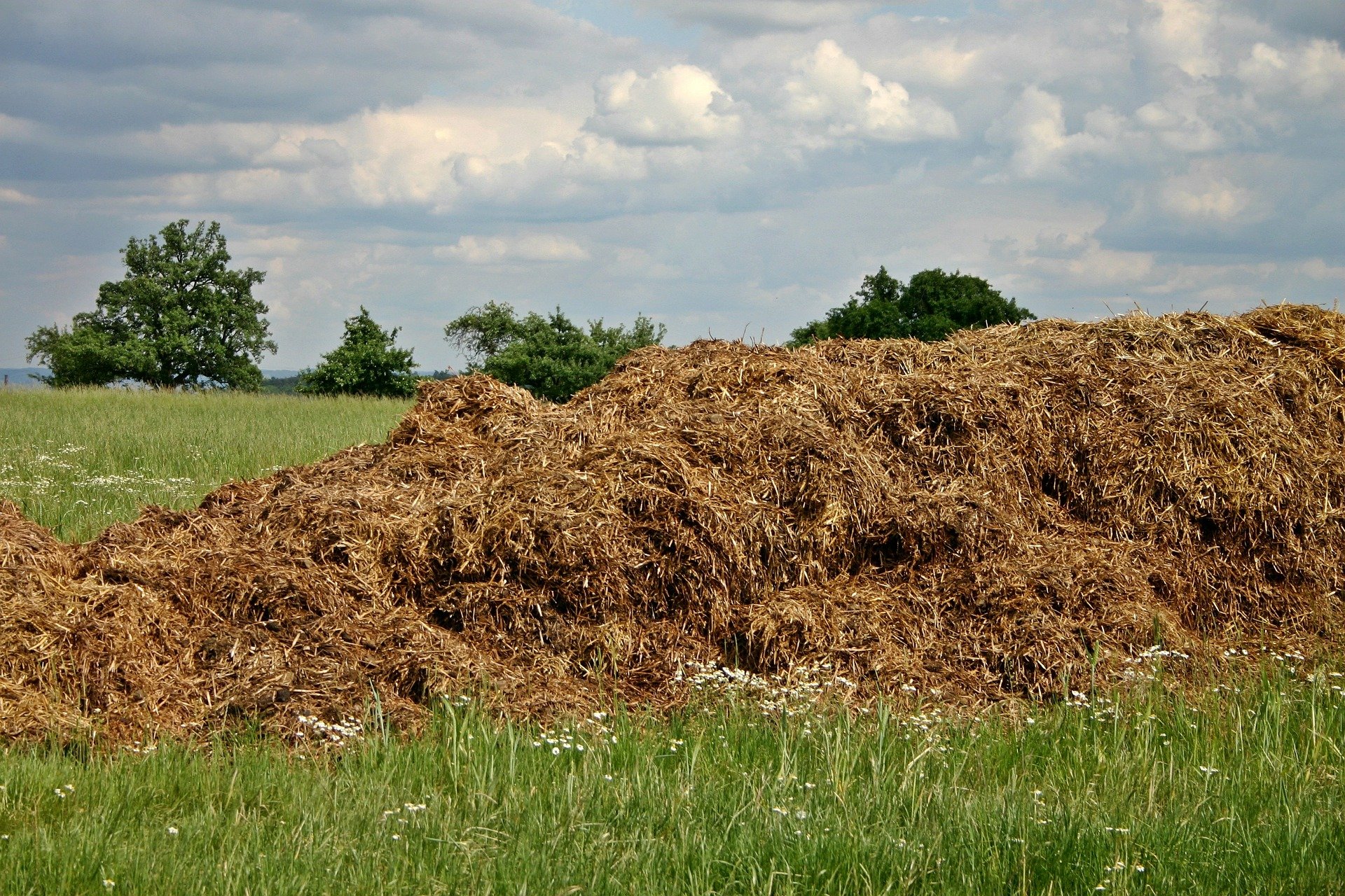 Chemische Produkte im Alltag - Helfer für die Landwirtschaft