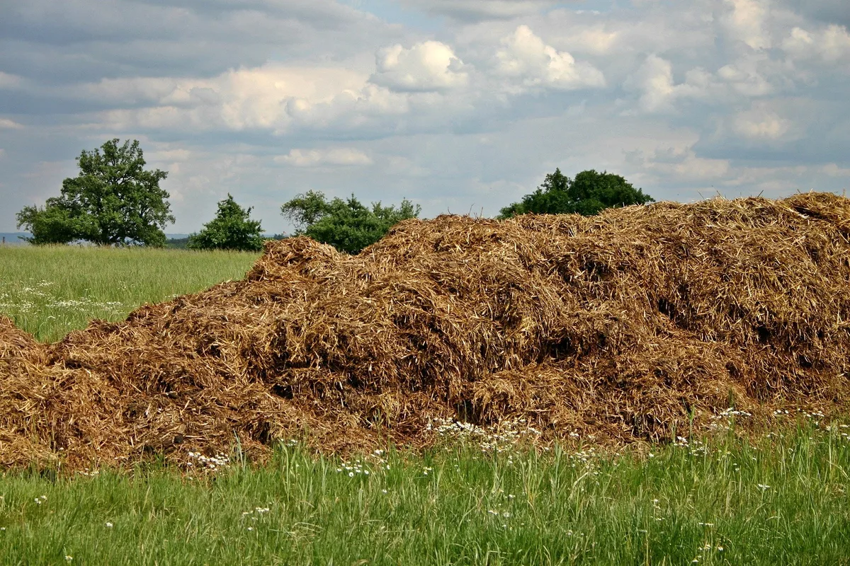 Chemische Produkte im Alltag - Helfer für die Landwirtschaft