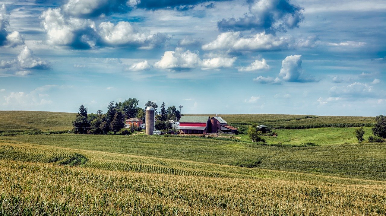 Unter anderm hat ein US-Landwirt die Agrochemiekonzerne Bayer und BASF für Schadenersatz vor Gericht gezogen, weil Dicamba von benachbarten Feldern seine Pfirsichplantage ruiniert habe. (Symbolbild Pixabay)