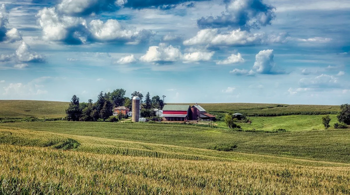 f337ef14f881667462062cad9e45e25710d3cdb1 Unter anderm hat ein US-Landwirt die Agrochemiekonzerne Bayer und BASF für Schadenersatz vor Gericht gezogen, weil Dicamba von benachbarten Feldern seine Pfirsichplantage ruiniert habe. (Symbolbild Pixabay)