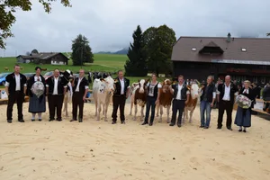 Die Siegerkühe mit den Richtern und Ehrendamen