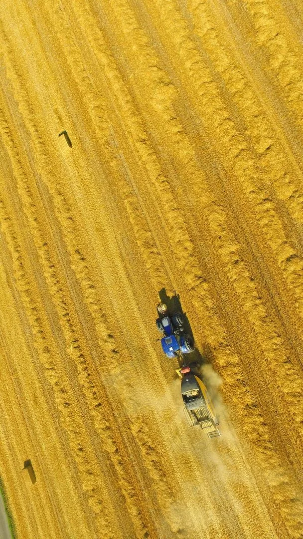 Das Lohnunternehmen Ryser in Richenthal LU presst jährlich rund 40 000 Quaderballen.
