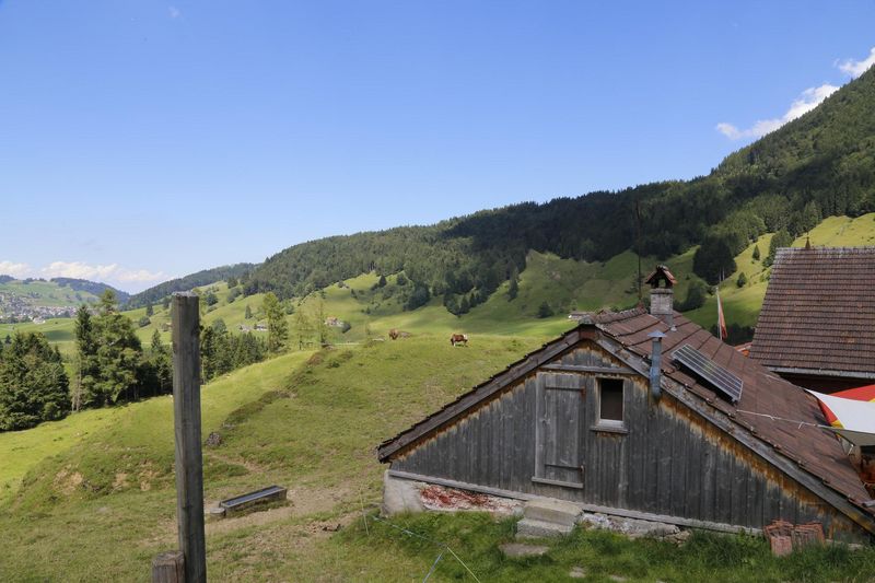 Auf den Schweizer Alpen wird dringend Personal benötigt. (Bild lid)