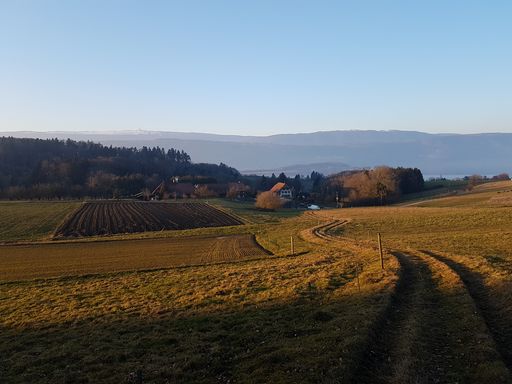 Der Februar präsentierte sich warm. (Bild lid/ji)