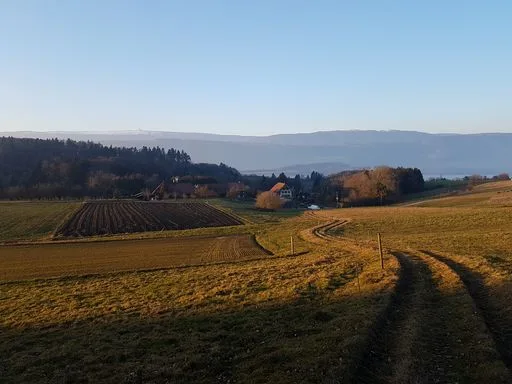 Der Februar präsentierte sich warm. (Bild lid/ji)