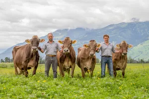 Hansueli Schuler (von links nach rechts) und Magnus Kurath mit Ina, Norina, Rena und Rosine. (Foto: Braunvieh Schweiz)