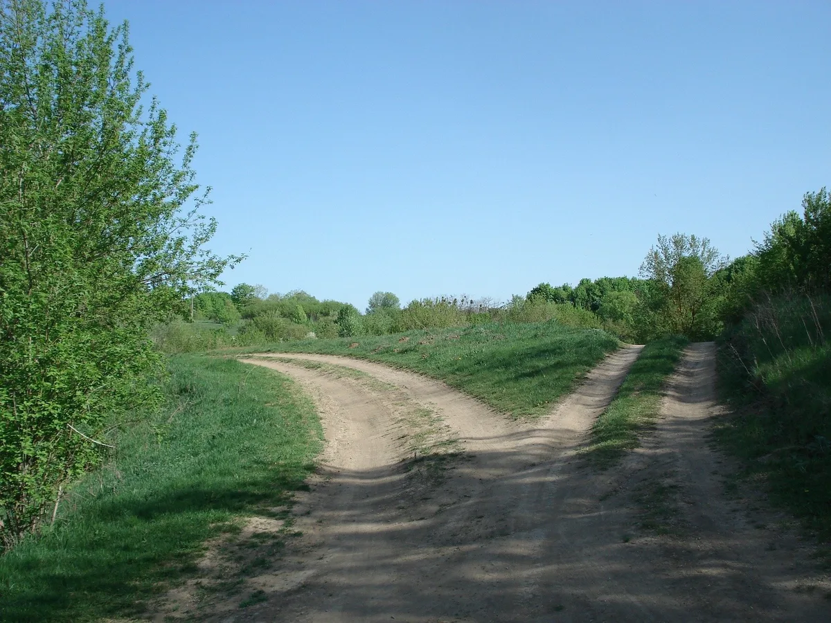 roads-320371_1920 Wie fühlen sich Entscheidungen an?