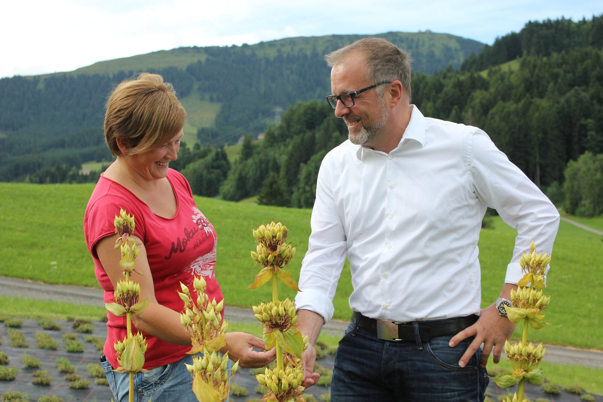 Kräuterbäuerin Ida Signer und Stefan Maegli, Geschäftsführer der Appenzeller Alpenbitter AG, mit Gelbem Enzian. Für den Alpenbitter wird die Enzianwurzel verwendet. (Bilder zVg)