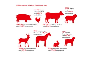 Die Grafik zeigt die Menge an verkaufsfertigem Fleisch und den Anteil Inlandproduktion verschiedener Tierkategorien.