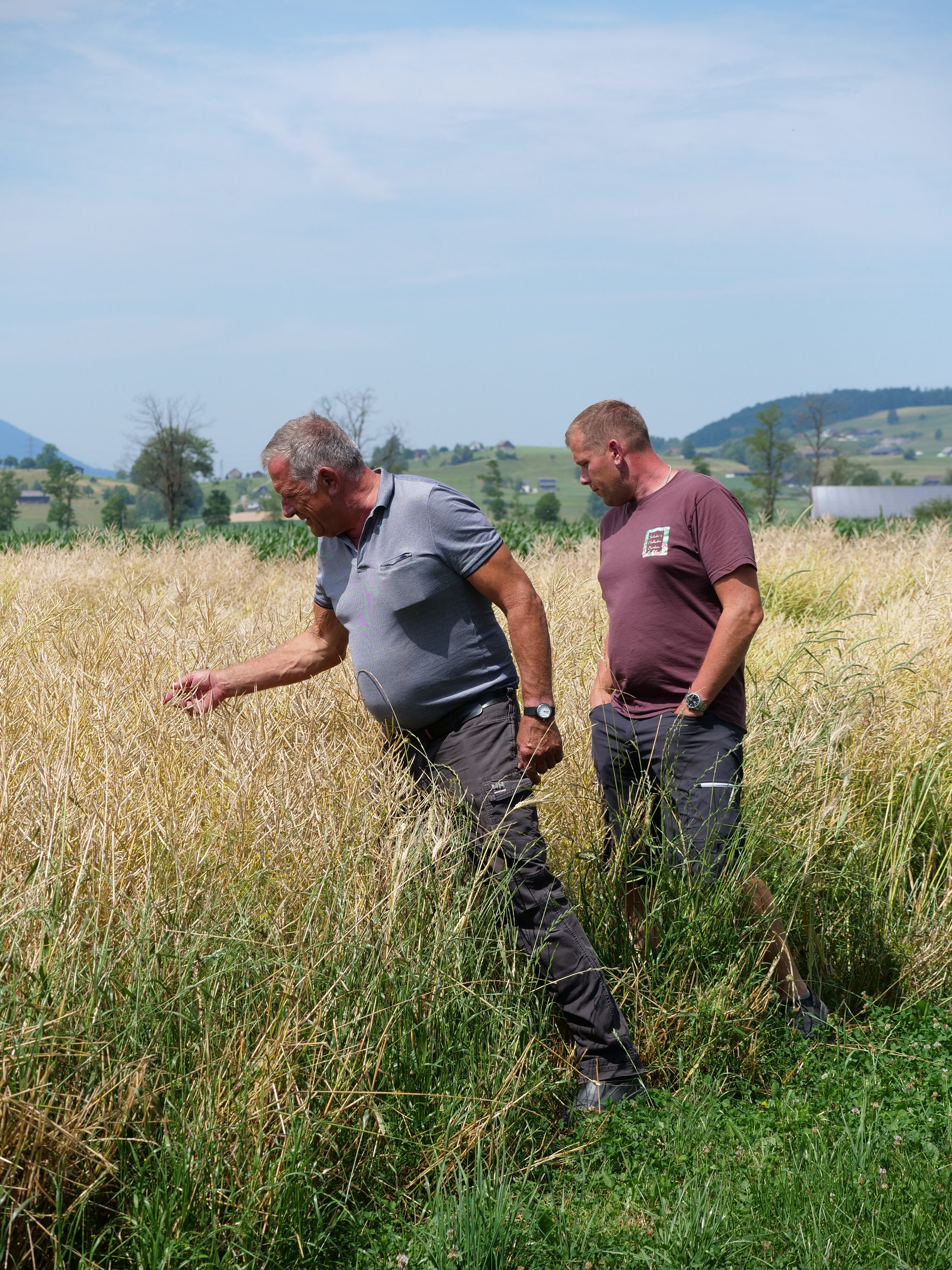 Franz Schuler senior und Franz Schuler junior richten ihre Fruchtfolge nach den Entwicklungen auf dem Feld aus.