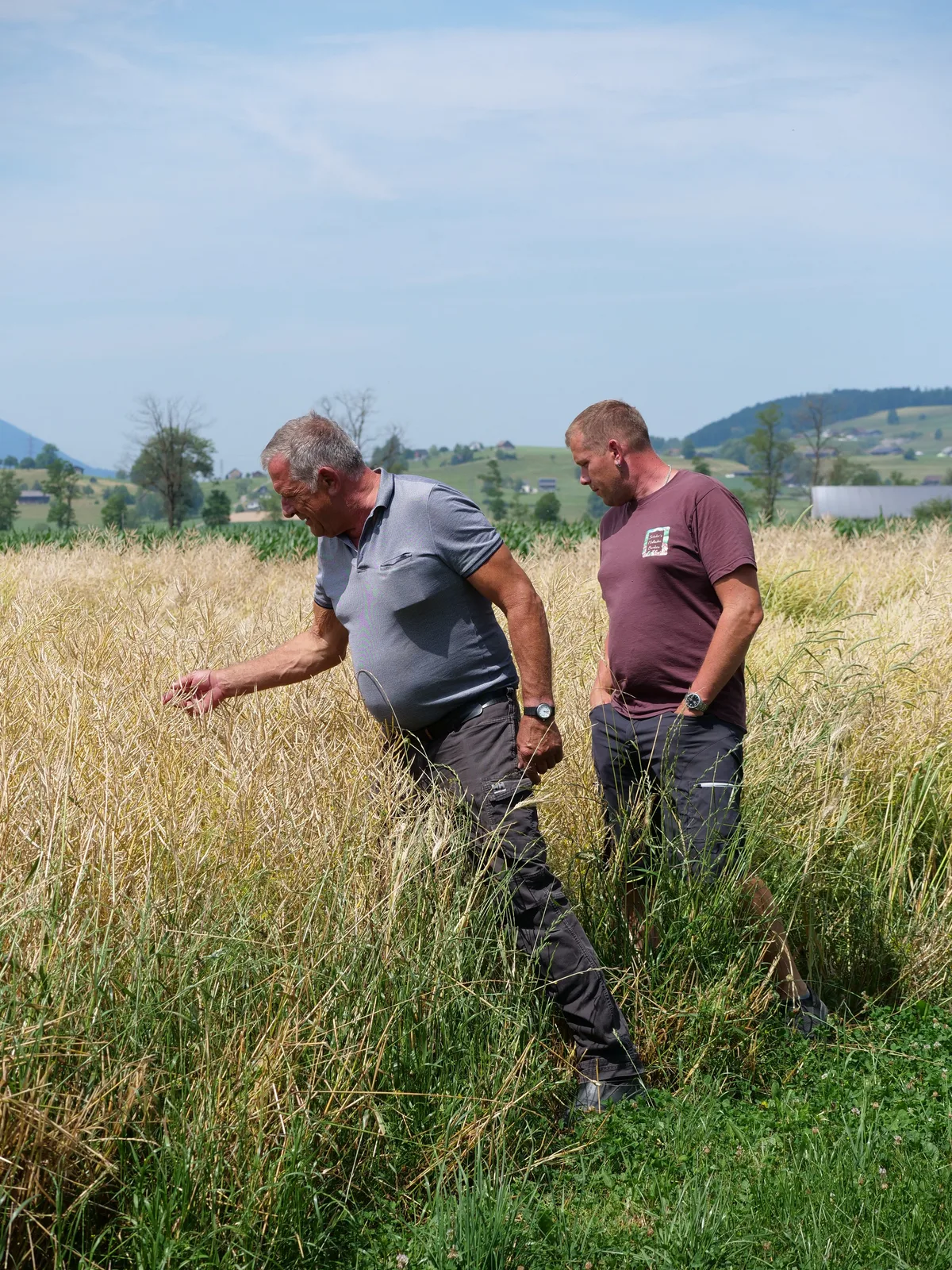 DG-2026-08-PB2-Fruchtfolge-Schuler Franz Schuler senior und Franz Schuler junior richten ihre Fruchtfolge nach den Entwicklungen auf dem Feld aus.
