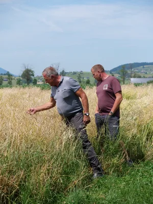 Franz Schuler senior und Franz Schuler junior richten ihre Fruchtfolge nach den Entwicklungen auf dem Feld aus.