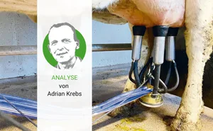 Fünf Rappen Milchpreiserhöhung wären in normalen Zeiten eine grossartige Nachricht. Nur leider leben wir nicht in normalen Zeiten.