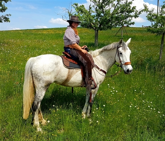 Bild 1 Martina Schafer mit ihrer Stute Honey. Zusammen mit Freundin Martina Widmer und drei weiteren Pferden werden sie in elf Tagen 260 Kilometer zurücklegen. (Bild Martina Schafer)