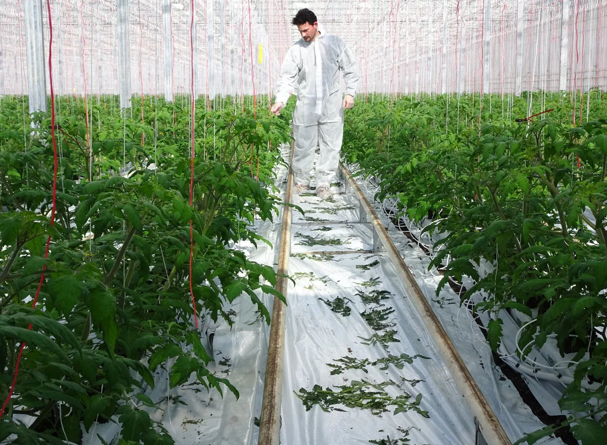 arenenberg_tobrfv_kontrollen_2021 Die Angst vor dem Jordan-Virus