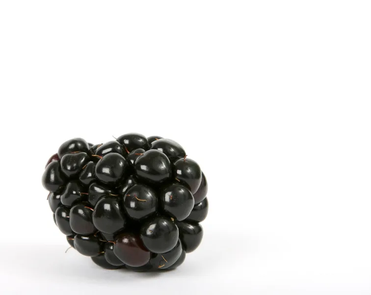 82a911d0dbde38b3237b6913d0386611083ade7a Genuss in Schwarz. (Bild pd)