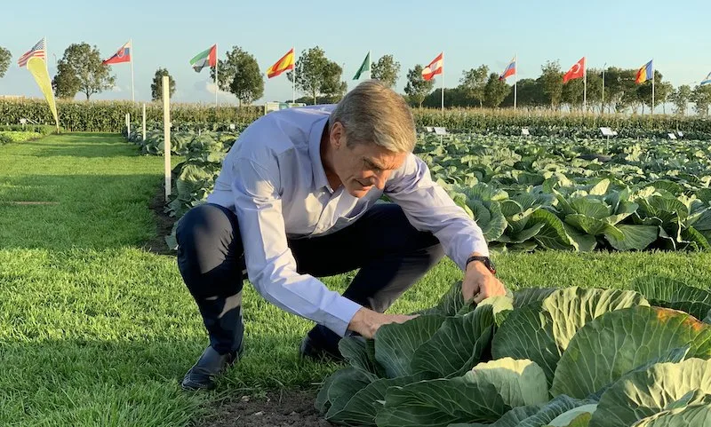6698215747a735c2e5e178f0fa5dd0852365b8bb Syngenta (hier CEO Erik Fyrwald auf dem «Field of Innovation» in den Niederlanden) betont beispielsweise die Wichtigkeit des Pflanzenschutzes, um mögliche Krankheitserreger oder Gifte in Lebensmitteln auszuschliessen. (Bild Syngenta)