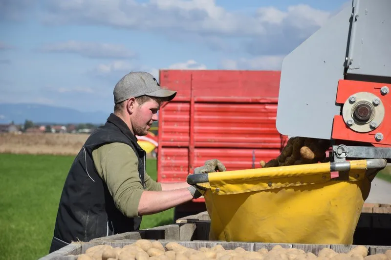 7153392b40293fb307320f3425641bde6489d1f4 Die Lehre als Landwirt reicht in Zukunft nicht mehr aus, um Direktzahlungen zu erhalten. (Bild Jasmine Baumann)