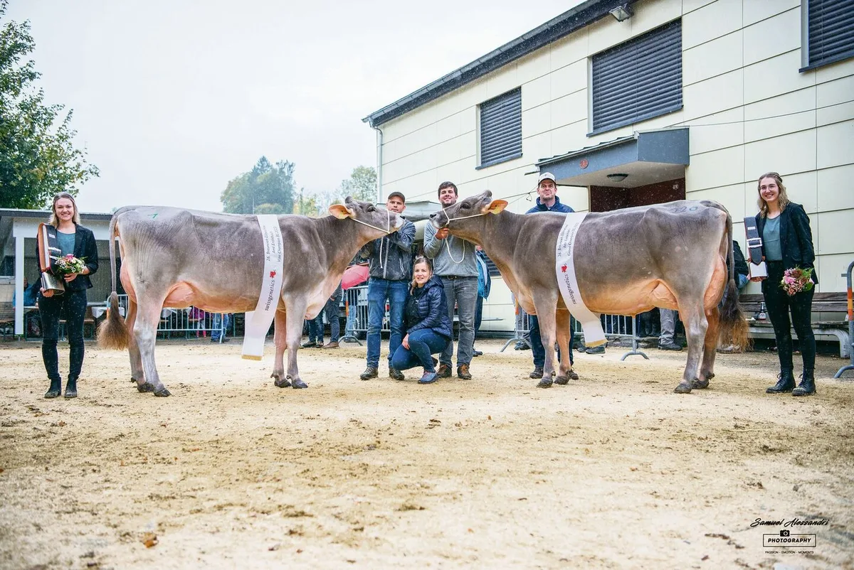 a013887dd0dd7fc8a293606422d338fa4108d7bdbaa25837c52a7d6d0521fee2 Grand Champion der 26. Entlebucher Eliteschau: Franzen BS Salomon Sina (rechts) mit Vize Heinen’s Superstar Yasmin, beide im Besitz von Franz und Pascal Felder, Marbach LU.