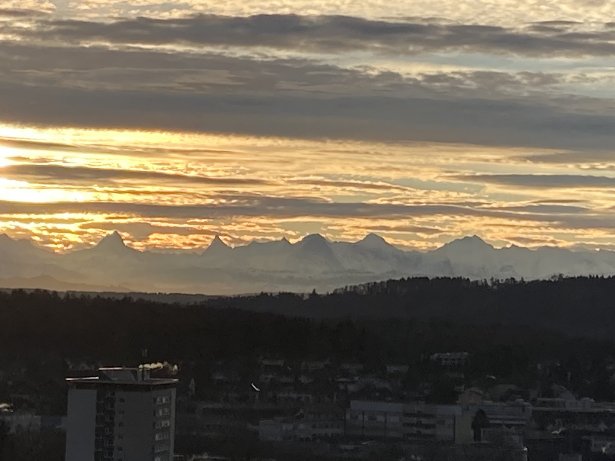 Temperaturrekord in Bern - Frühling an Weihnachten
