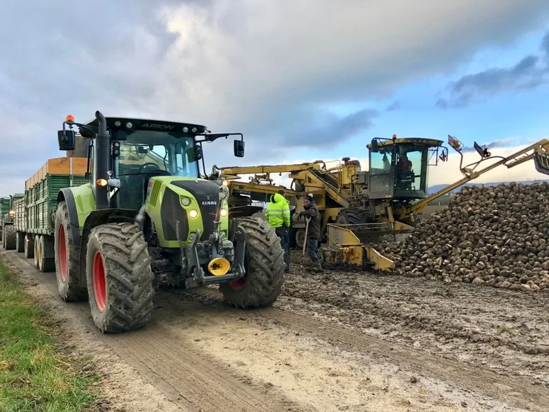 traktor_rueben Mineralölsteuer wird auch künftig rückerstattet