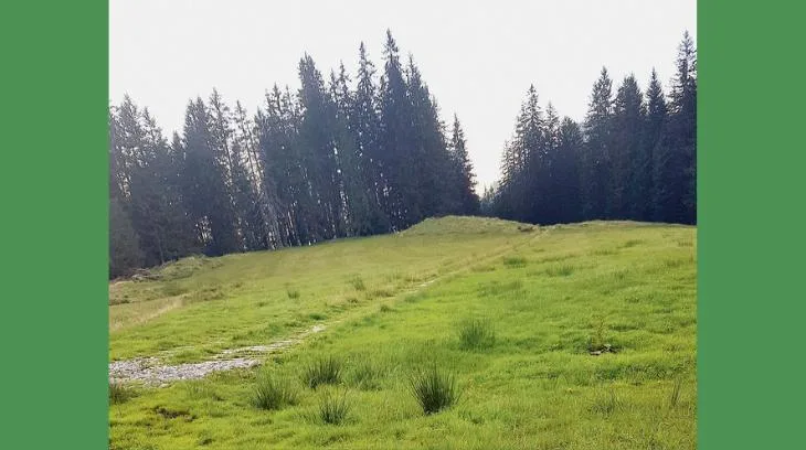 0974ebba5c3955331529794e1da13c798acd8dac Wegabschnitt auf die Lauenberger-Alpen. Der Holzrost ist noch schwach ersichtlich. (Bild hpr)