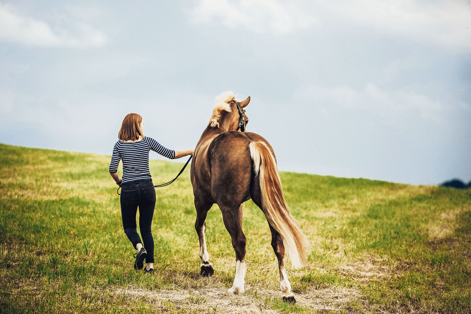Der emotionale Wert, den ein(e) Halter(in) einem Tier aus rein emotionalen und nicht aus wirtschaftlichen Motiven beimisst, wird Affektionswert genannt. (Bild Helene Marti)