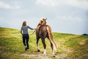 Der emotionale Wert, den ein(e) Halter(in) einem Tier aus rein emotionalen und nicht aus wirtschaftlichen Motiven beimisst, wird Affektionswert genannt. (Bild Helene Marti)
