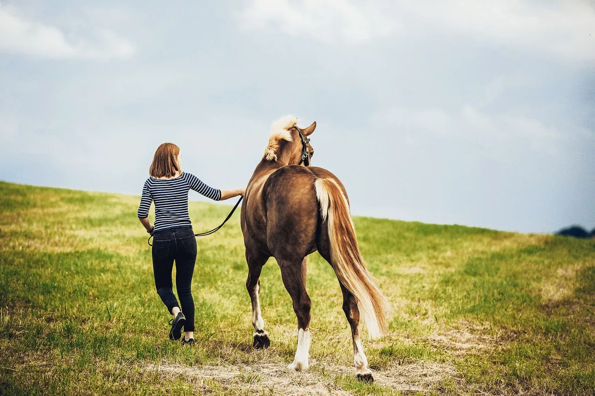 Der emotionale Wert, den ein(e) Halter(in) einem Tier aus rein emotionalen und nicht aus wirtschaftlichen Motiven beimisst, wird Affektionswert genannt. (Bild Helene Marti)