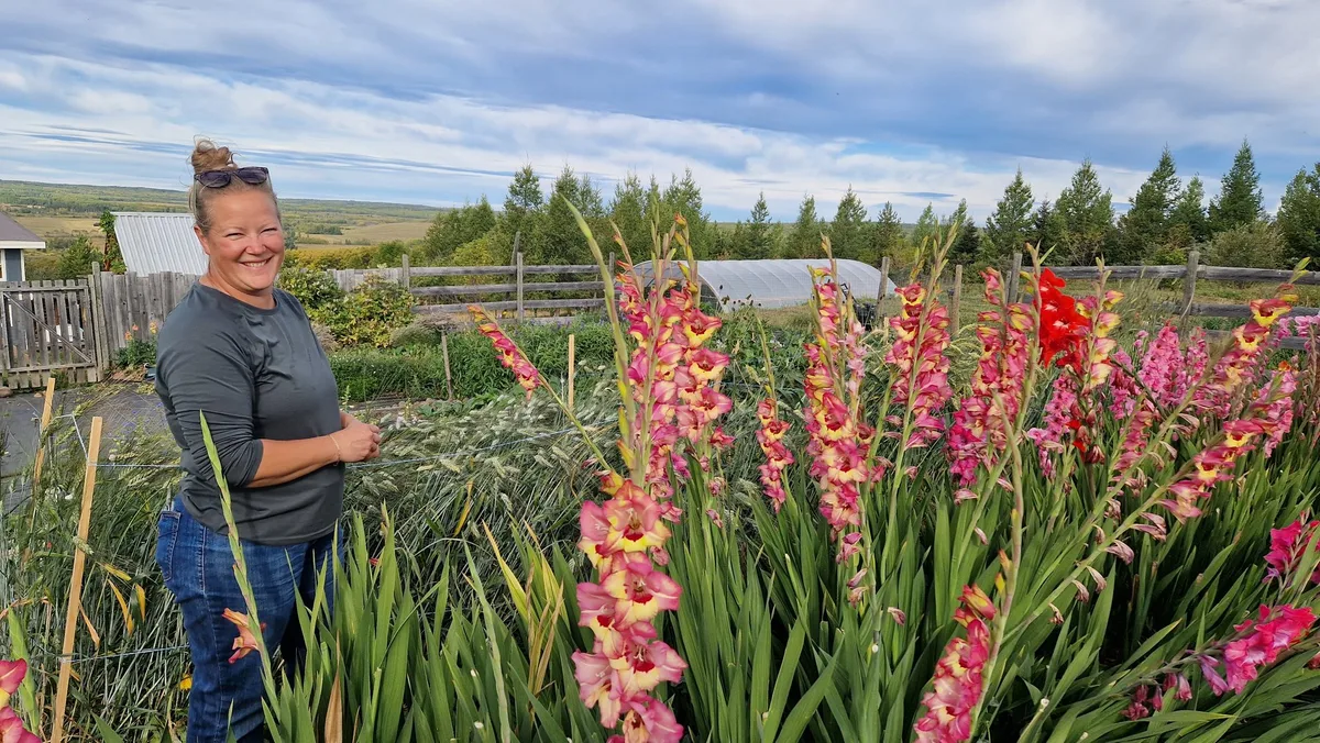 BZ-LAN1-42-Silvia-gladiolen Silvia Liebke baut im kurzen kanadischen Sommer Blumen an