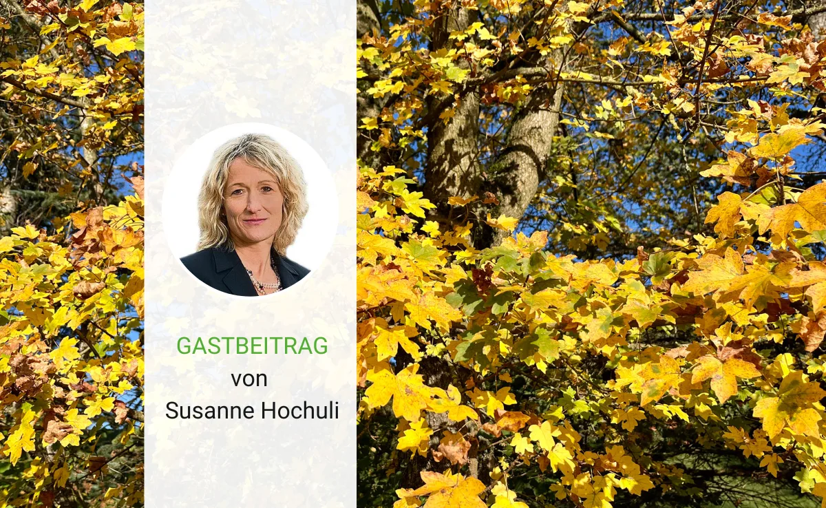 Artikel_Gastbeitrag_BauZ_HochuliAbschluss Nach jedem Abschluss geht es weiter