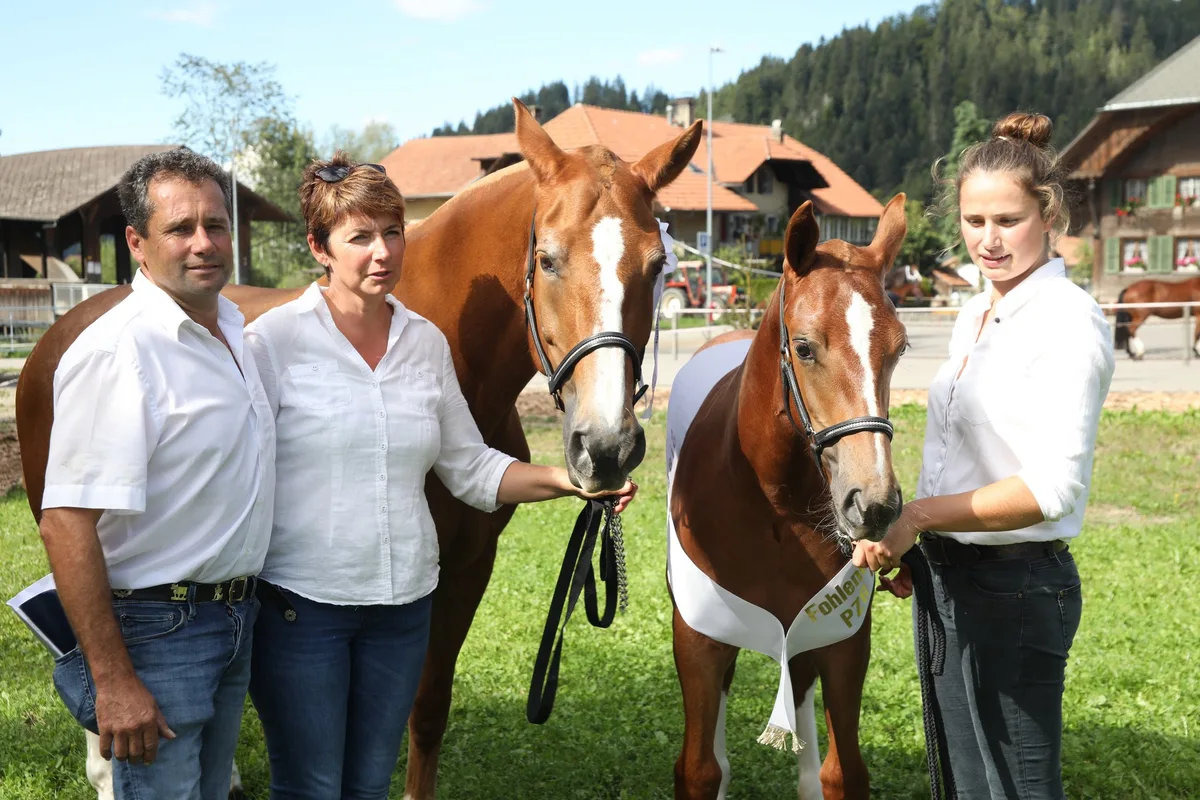 Mitten im Dorf und mit viel Charme: In Eggiwil standen 47 Fohlen im Fokus