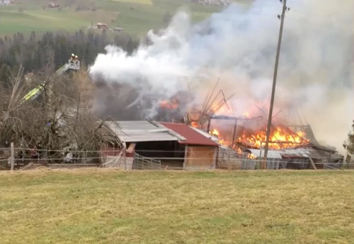 31502d31d3dba56c4deb253a172d61c1b78a8203 Die Feuerwehr versucht das Feuer vom Kran zu löschen. (Bild Video Lesereporter 20 Minuten)