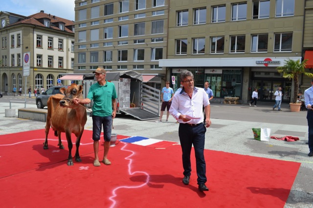 Martin Haab (rechts), Präsident der BIG-M, verlangt einen fairen Milchpreis für die Bauern. Mit dabei auch eine Jersey-Kuh aus der Zucht von Bruno Schär.