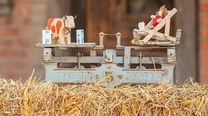 Milchproduzenten schöpfen ihre Motivation laut Studie oft aus der besonderen Lebensweise mit viel Autonomie, Kontakt zu Tieren, Arbeit in der Familie und verbunden mit der Natur. Idealerweise sollte das die hohe Arbeitsbelastung und das Angebundensein ausgleichen. (Bild BFH-HAFL)