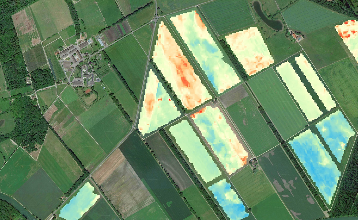 Satelliten schätzen den Getreide-Ertrag – was bringt das?
