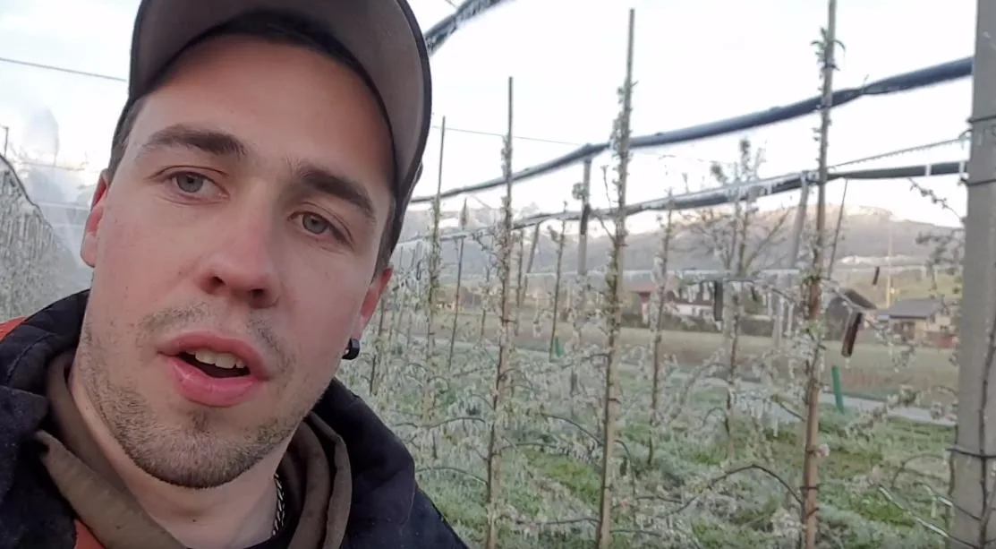 207f0214029c9840595356eb1cb42a61c7cd6925 Marco Messerli schützt seine Kulturen für eine knackige Ernte, wie er im Video sagt. (Bild Screenshot Facebook Marco Messerli)