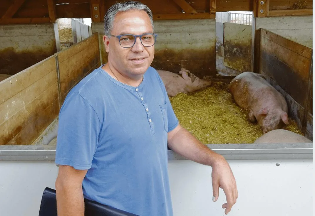 230ccf792e4d17a271d5a5110df8f709e798352d Suisseporcs-Präsident Meinrad Pfister zeigt Interessierten gerne seine Schweinehaltung in Altishofen LU. (Archivbild aem)