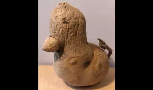 Die Kartoffel-Ente ist eine Laune der Natur. (Bild Werner Zuppinger)