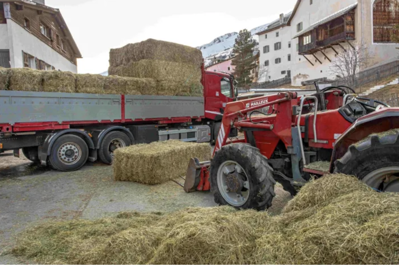 Drama in S-chanf: Landwirt von Heuballen erschlagen
