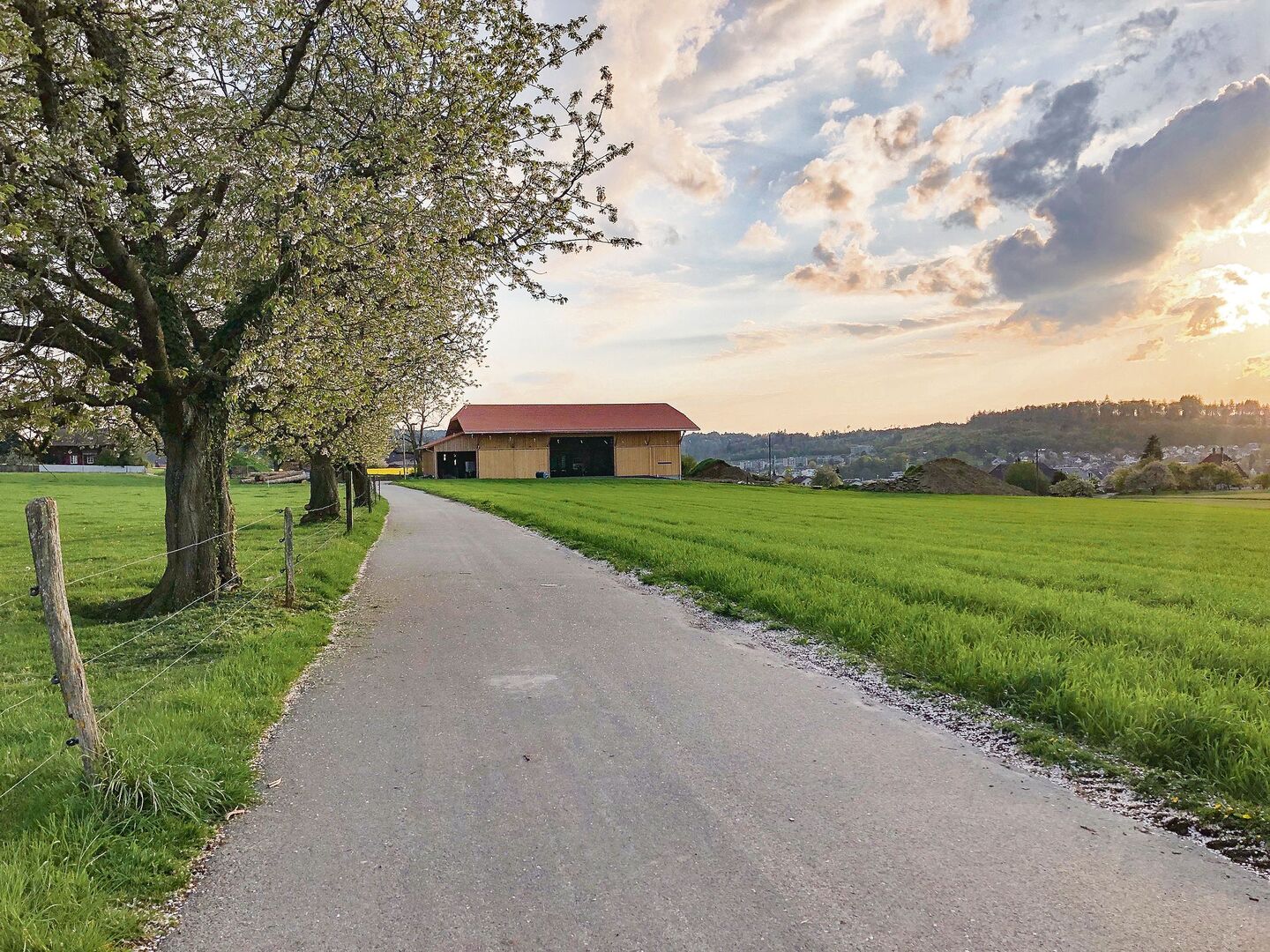 «Wozu brauchst du Lohn? Du hast ja Kost und Logis und erst noch eine schöne Aussicht!» Damit gab sich eine Bäuerin lange ab. Bis sie die Demütigungen nicht mehr aushielt und ging.