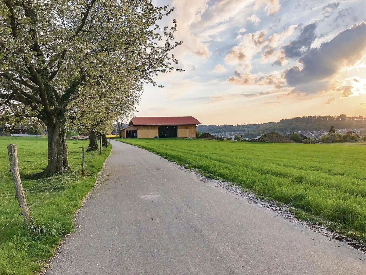 «Wozu brauchst du Lohn? Du hast ja Kost und Logis und erst noch eine schöne Aussicht!» Damit gab sich eine Bäuerin lange ab. Bis sie die Demütigungen nicht mehr aushielt und ging.