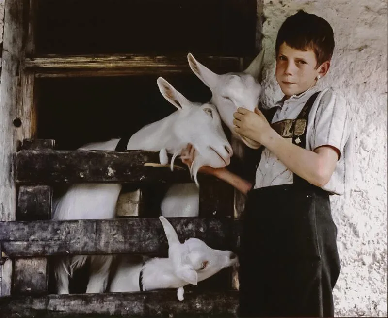 sennenfilm Der Schweizer Film «Sennen-Ballade» kommt wieder in die Kinos