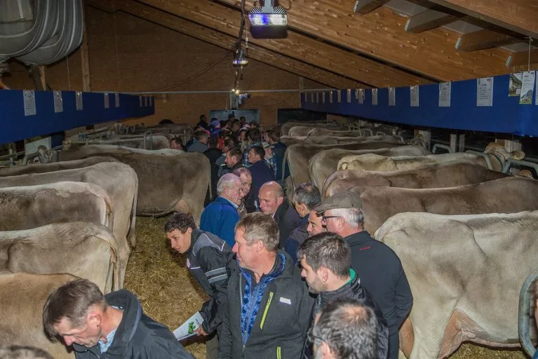 4781edc647ce0b3242000af977c2ca131d420dd1 Die Besichtigung dieser leistungsstarken Tiere war eines von vielen Highlights in Gais. (Bild Braunvieh Schweiz)