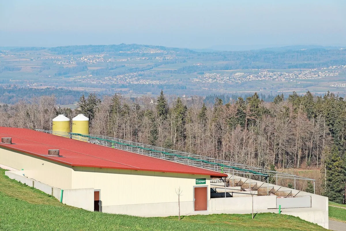 4d61c6b97d26684b99e12e552f570bb352be352c2400014336096b89a752786b Investitionen in das Tierwohl: Der Bau von neuen Ställen dürfe nicht unnötig erschwert werden, fordert der Schweizer Bauernverband (SBV).